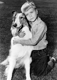 Lassie with young Jon Provost