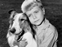 <em>Lassie:</em> Famous Collie Returning to TV; Jon Provost Open to Revival