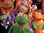 <em>The Muppet Show:</em> Kermit the Frog and Friends Returning to Series Television?