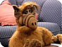 ALF