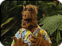 <em>ALF:</em> Watch the Sarcastic Alien from Melmac Visit <em>Gilligan's Island</em>
