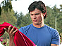 CW Renews Six TV Shows for the 2009 - 2010 Season