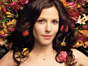 <em>Weeds:</em> Season Seven May Be the Last for the Showtime Series