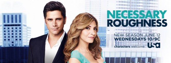 necessary roughness: canceled or renewed?