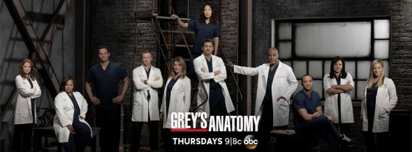 Greys Anatomy: cancel or renew?