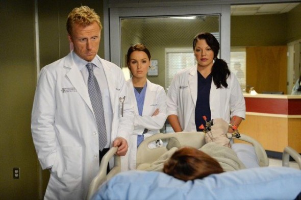 Grey's Anatomy TV show on ABC ratings