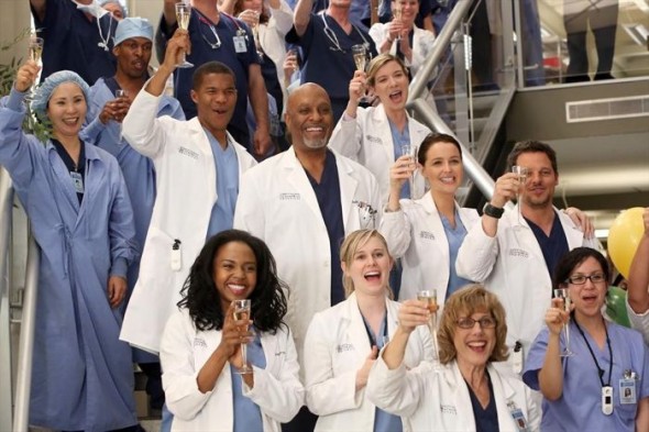 Grey's Anatomy TV show on ABC: season 12