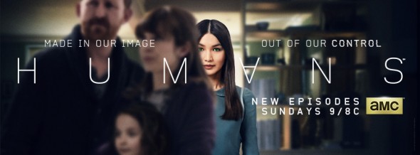 Humans TV show on AMC: ratings (cancel or renew?)