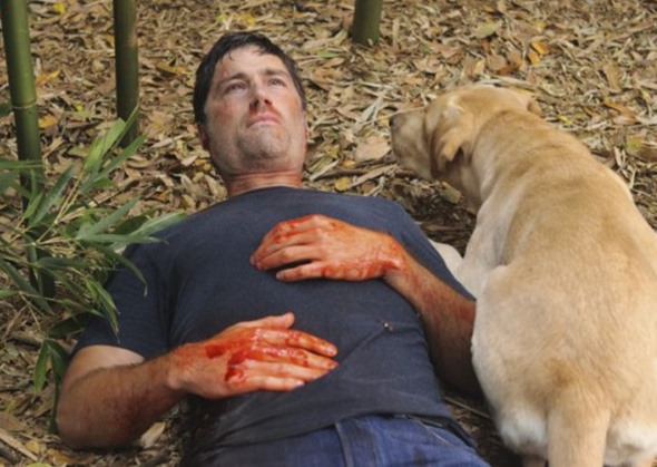 Lost TV show on ABC: ended, no season 7 (canceled or renewed?)