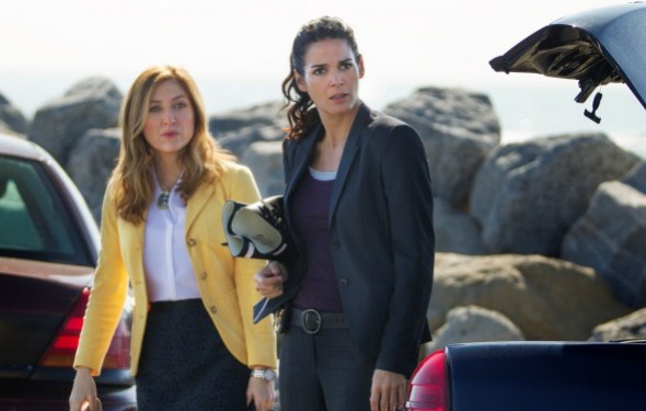 Rizzoli & Isles TV show canceled, no season 8 on TNT