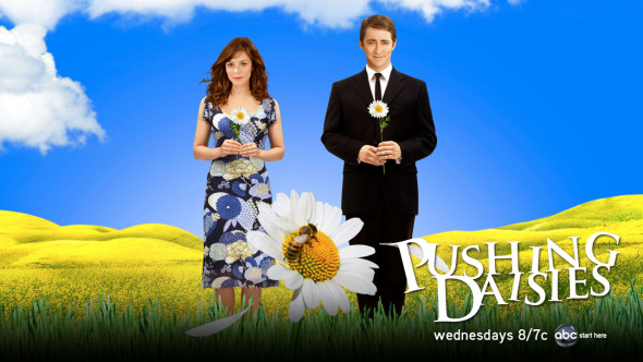 Pushing Daisies TV show on ABC: season 2; canceled, no season 3