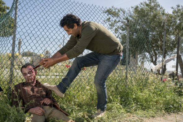 Fear the Walking Dead TV show on AMC: season 2 (canceled or renewed?)