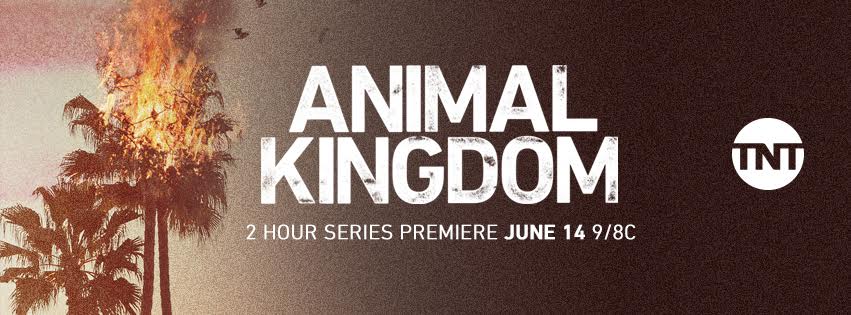 Animal Kingdom S03E03 subtitles - English-subtitlesorg