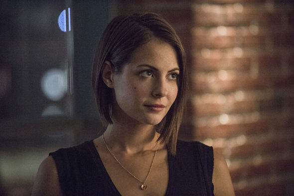 Arrow -- "The Secret Origin of Felicity Smoak" -- Image AR305b_0296b -- Pictured: Willa Holland as Thea Queen -- Photo: Cate Cameron/The CW -- © 2014 The CW Network, LLC. All Rights Reserved.