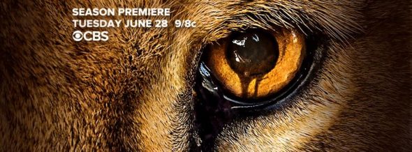 Zoo TV show on CBS: ratings (cancel or renew for season 3?)