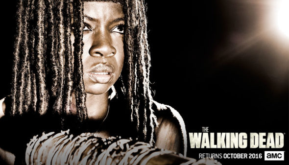 The Walking Dead TV show on AMC