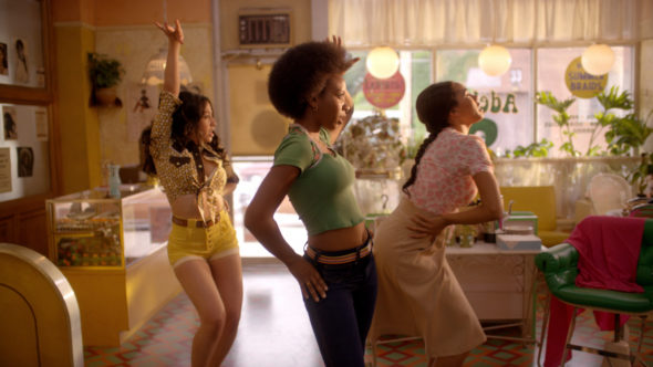 The Get Down TV show on Netflix: season 1 (canceled or renewed?).