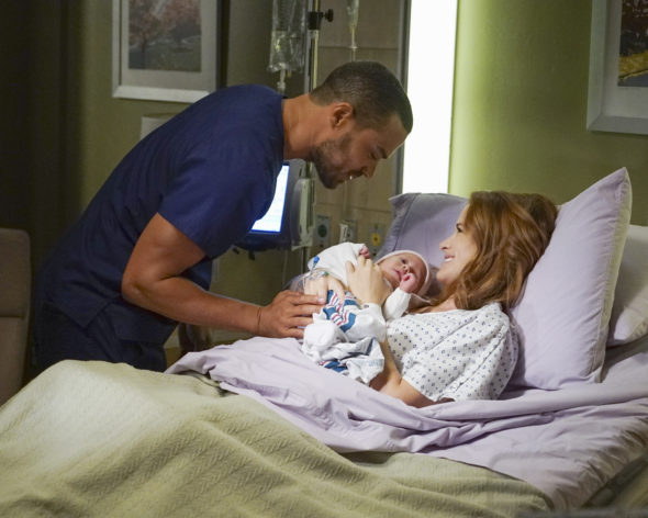 Grey's Anatomy TV show on ABC: season 13 premiere (canceled or renewed?).