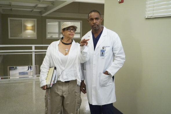 Grey's Anatomy TV show on ABC: season 13 behind-the-scenes (canceled or renewed?).