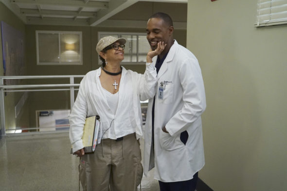 Grey's Anatomy TV show on ABC: season 13 behind-the-scenes (canceled or renewed?).