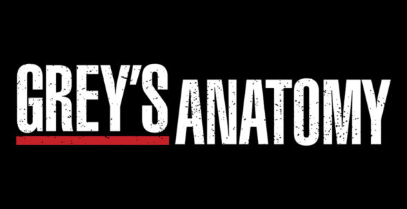 Grey's Anatomy TV show on ABC: season 14 renewal (canceled or renewed?)