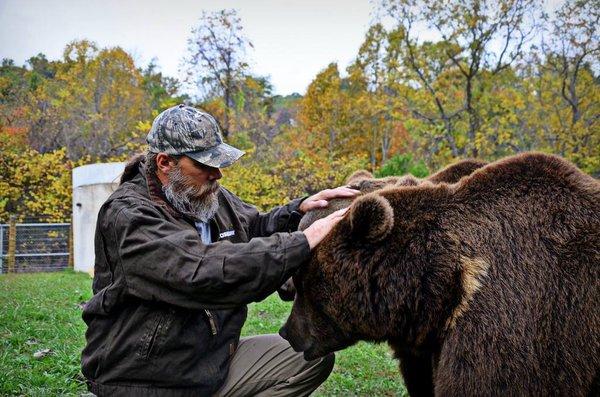Project Grizzly: New Animal Planet Series Starts November 12th - canceled +  renewed TV shows - TV Series Finale