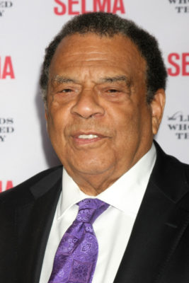 Andrew Young Presents Syndicated TV Show: canceled or renewed?