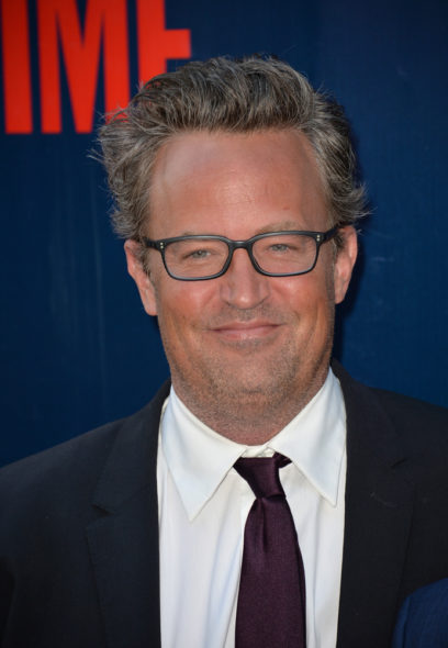 Matthew Perry: The Good Fight TV show on CBS: season 1 (canceled or renewed?)