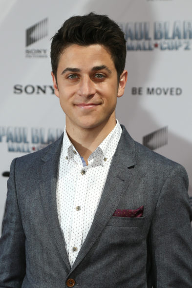 David Henrie: Wizards of Waverly Place TV show on Disney Channel: canceled or renewed?