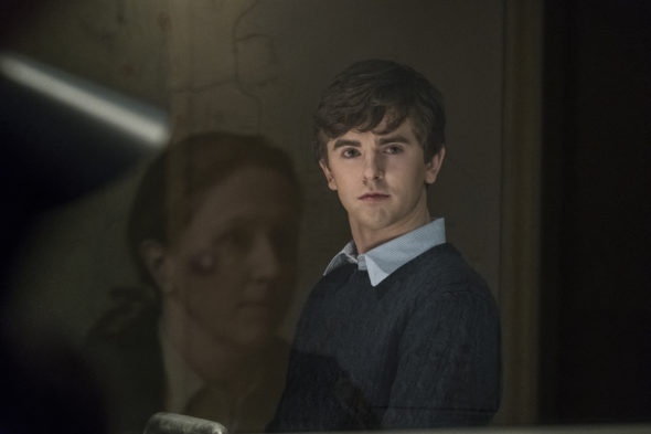 Freddie Highmore to star in The Good Doctor TV show on ABC: season 1 (canceled or renewed?)