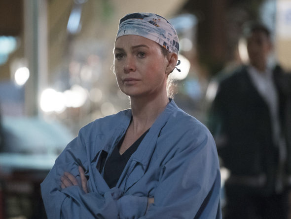 Grey's Anatomy TV Show on ABC: Season 13 Viewer Votes (episode ratings)