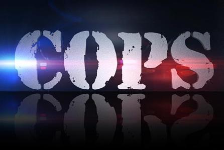 Cops TV show on Spike TV: (canceled or renewed?)
