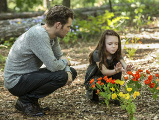 The Originals TV show on The CW: (canceled or renewed?)