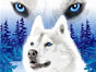 Win The Legend of White Fang on DVD