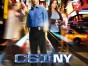 CSI NY ratings
