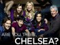 Are You There, Chelsea? canceled TV show