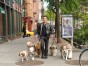 Dogs in the City CBS TV show