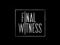 Final Witness TV series on ABC