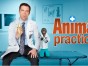 animal practice tv show ratings