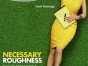 ratings for USA TV show necessary roughness
