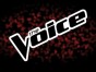 The Voice Fall 2013 season