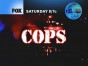 Season 25 of COPS TV show
