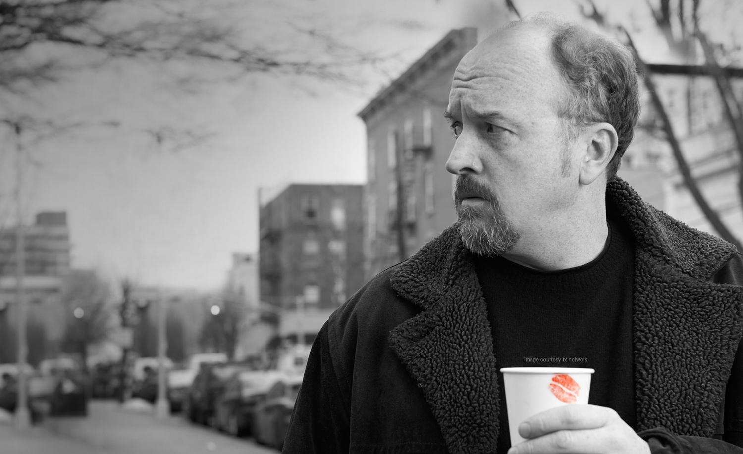 Louie: FX Wants a Sixth Season But... - canceled + renewed TV shows - TV Series Finale