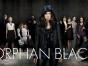 Orphan Black TV show on BBC America: (canceled or renewed?)