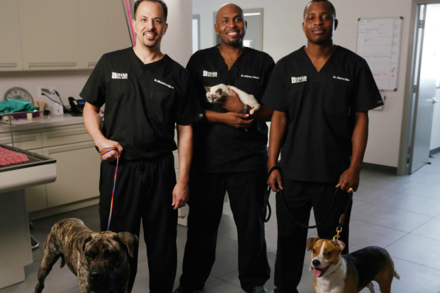 Texas Vets: Animal Planet Orders Veterinarian Series - canceled