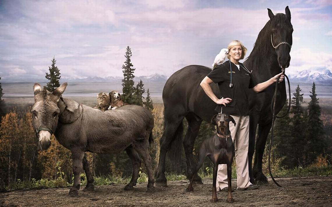 Dr. Dee Alaska Vet Season Two Coming to Animal canceled + renewed TV shows, ratings