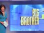 Big Brother TV show on CBS: season 20