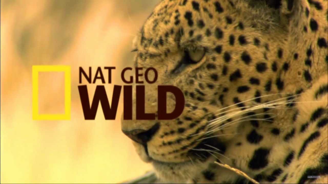 Dr. Oakley, Yukon Vet: New Season Coming to Nat Geo WILD in October -  canceled + renewed TV shows - TV Series Finale