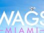 WAGS Miami TV show on E!: season 1 (canceled or renewed?)