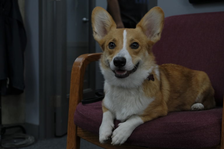 Dirk Gently's Holistic Detective Agency BBC America Teases New Elijah